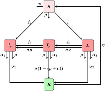 Pneumonia and COVID-19 co-infection modeling with optimal control analysis